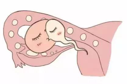 元准生殖医学中心